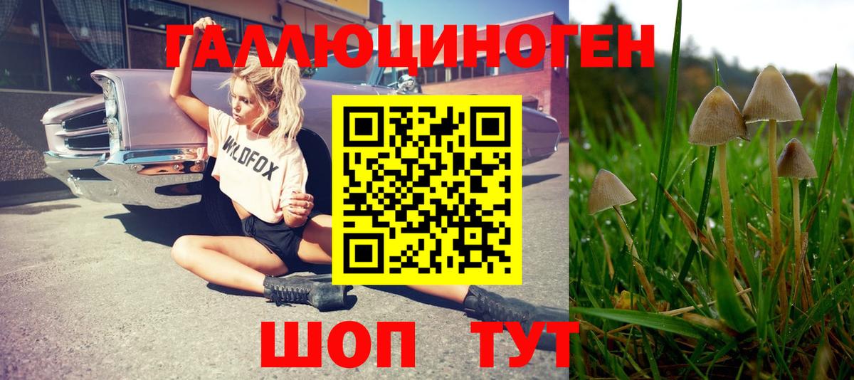 Псилоцибиновые грибы MAGIC MUSHROOMS Россия
