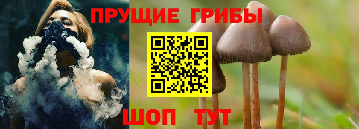 Галлюциногенные грибы Cubensis  Вход с VPN  Россия 